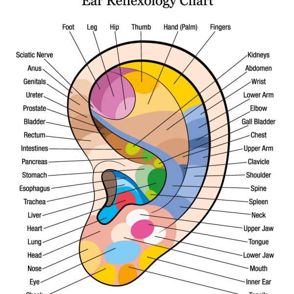 Ear reflexology diagram.